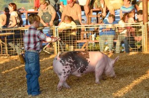 Red RIver Fair